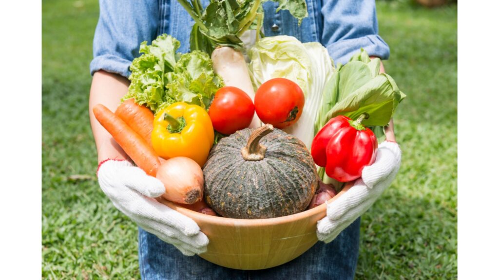 現代の野菜は栄養価が少ない？のウソについて