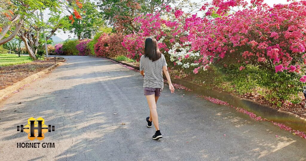 秋こそ始めたい、歩く美容と健康習慣