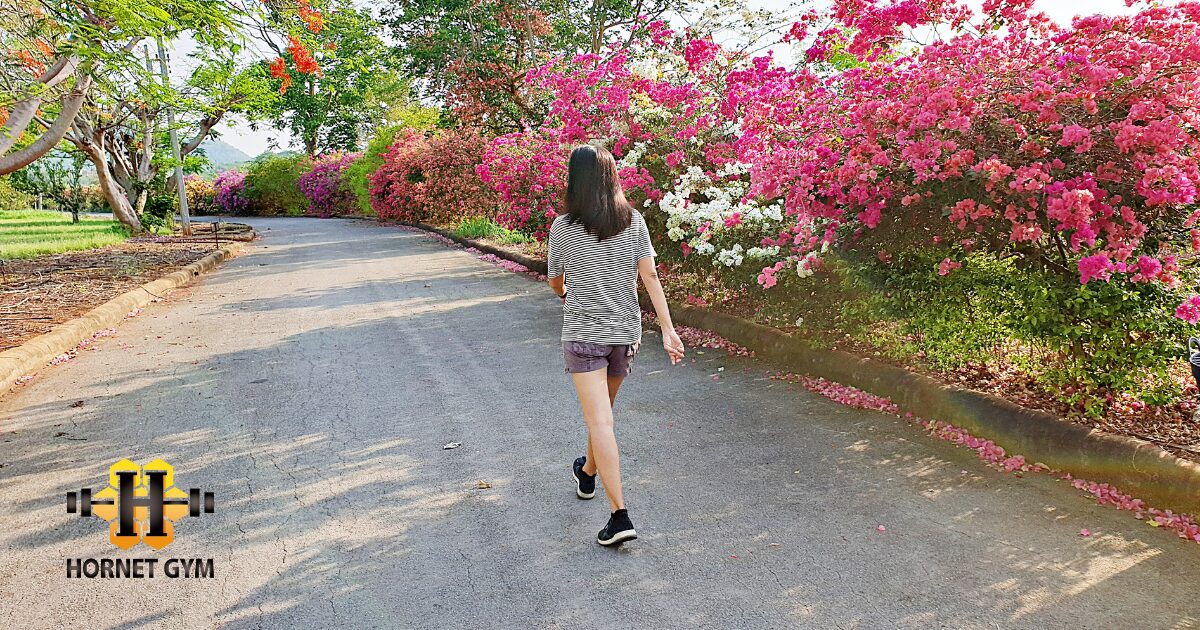 秋こそ始めたい、歩く美容と健康習慣