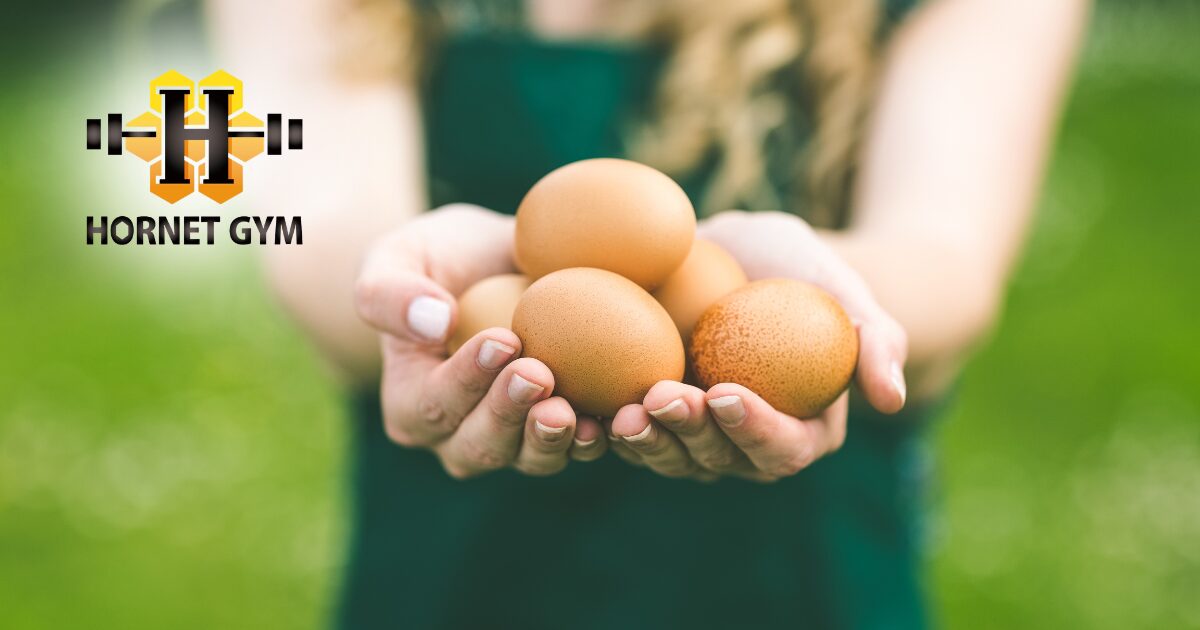 卵は1日何個まで？知らないと損する最新栄養学